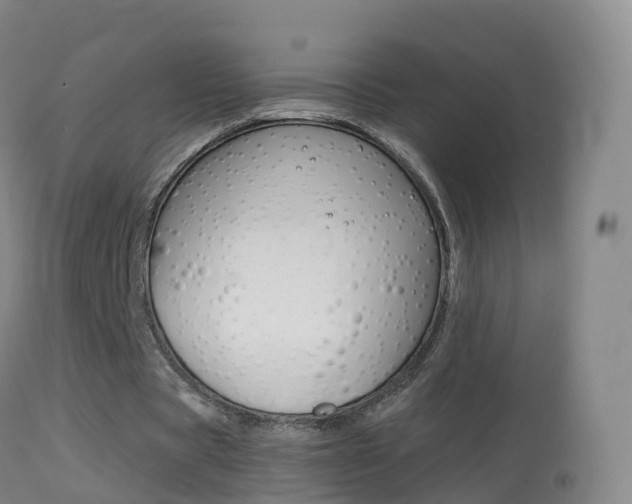 X0000114680529200910211033