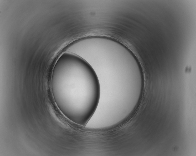 X0000114680530200910211033