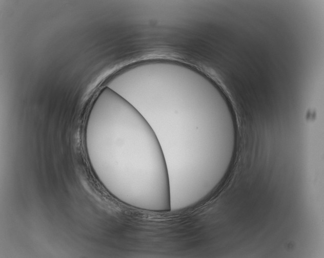 X0000114680531200910211034