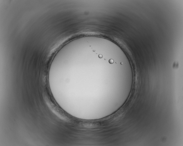 X0000114680533200910211034