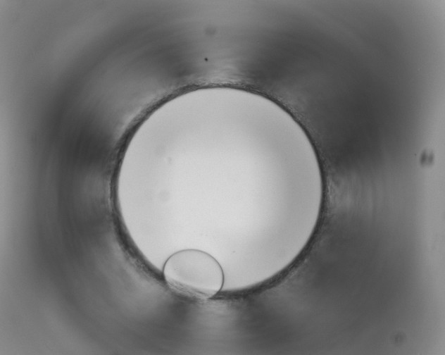 X0000114680534200910211034