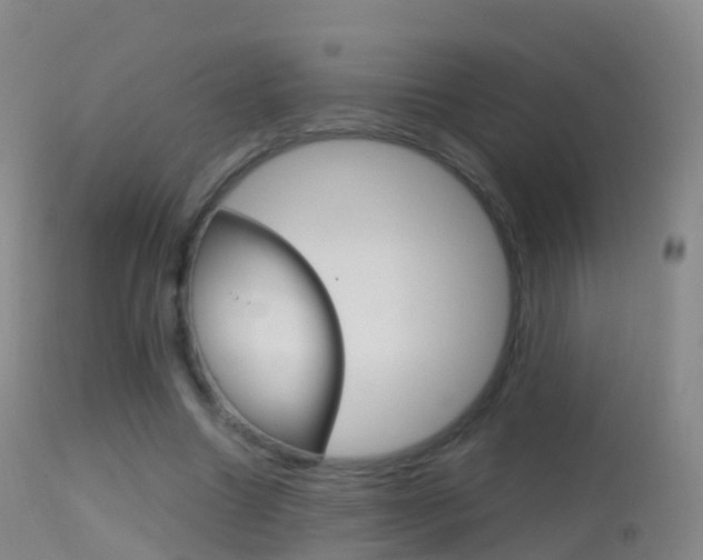 X0000114680538200910211034