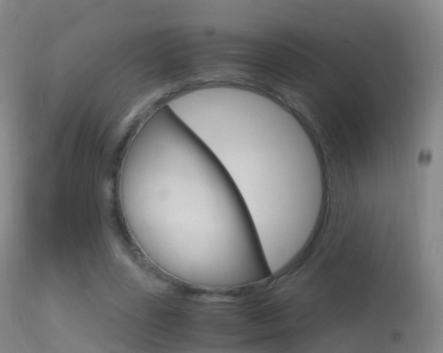 X0000114680539200910211034