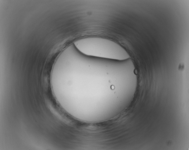 X0000114680542200910211034
