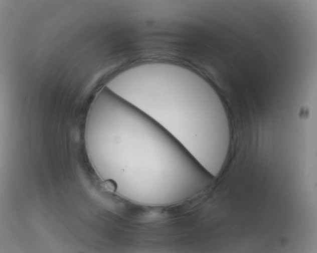 X0000114680543200910211034