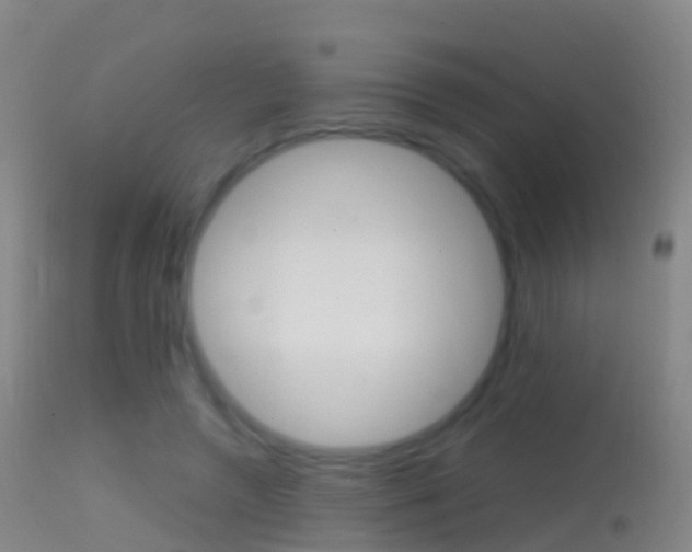 X0000114680546200910211034