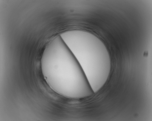 X0000114680551200910211034