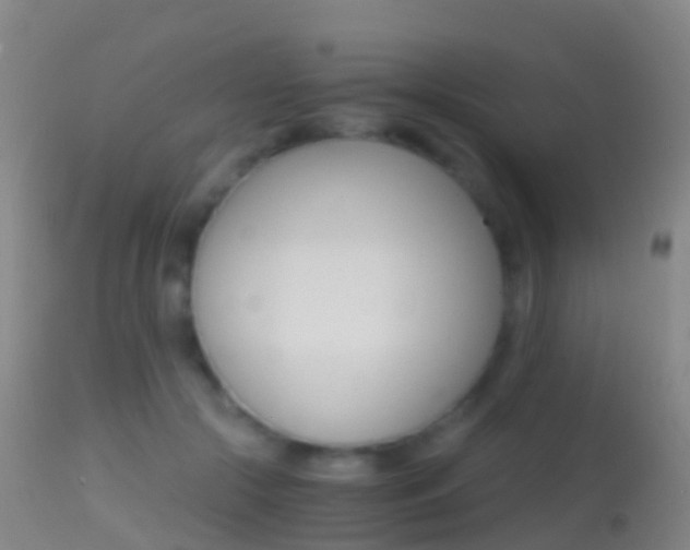 X0000114680553200910211034