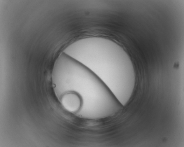 X0000114680555200910211034