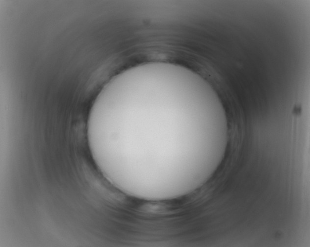 X0000114680557200910211034