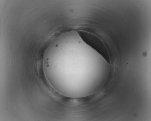X0000114680558200910211034