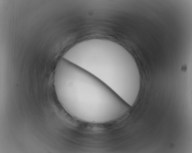X0000114680559200910211034