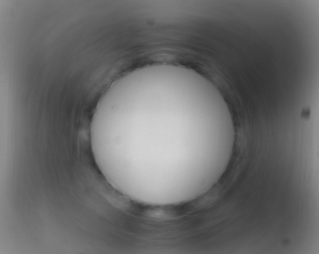X0000114680561200910211034