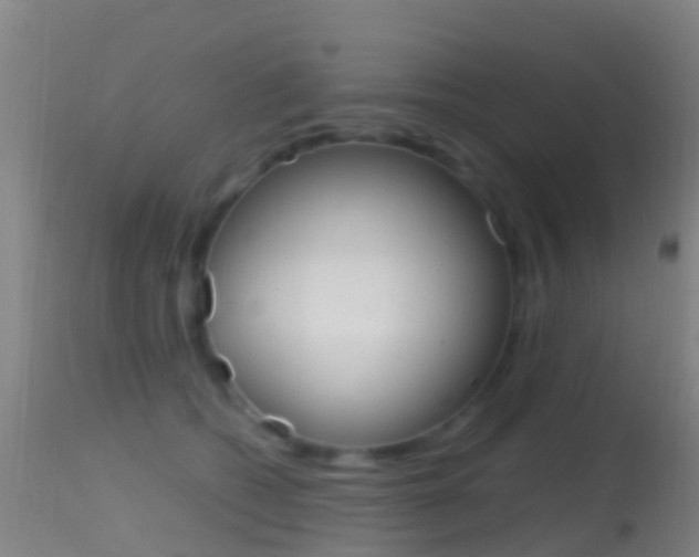 X0000114680562200910211034