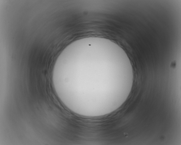 X0000114680565200910211034