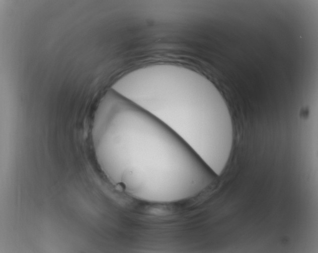 X0000114680567200910211034