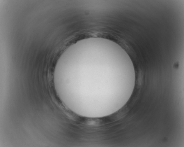 X0000114680569200910211034