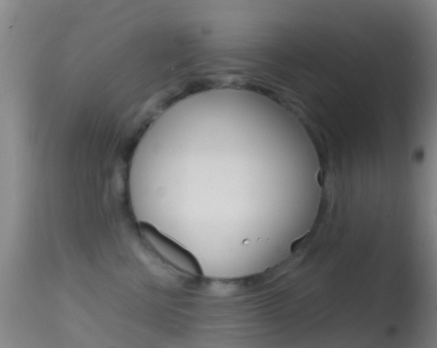 X0000114680570200910211034