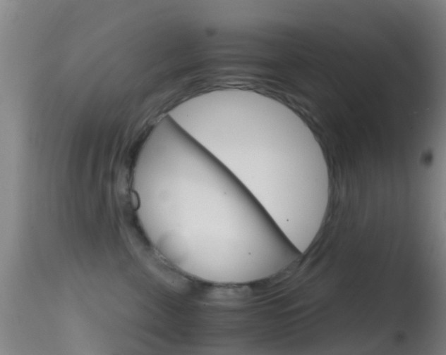 X0000114680571200910211034