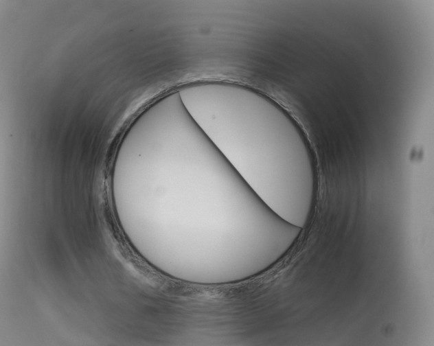 X0000114680578200910211033