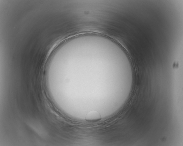 X0000114680579200910211033