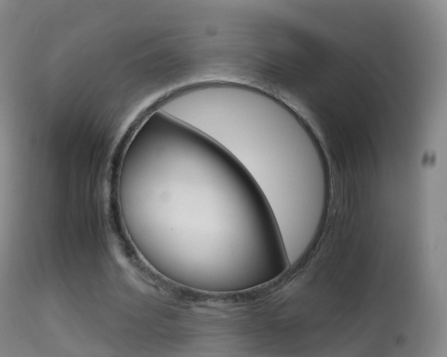 X0000114680580200910211033