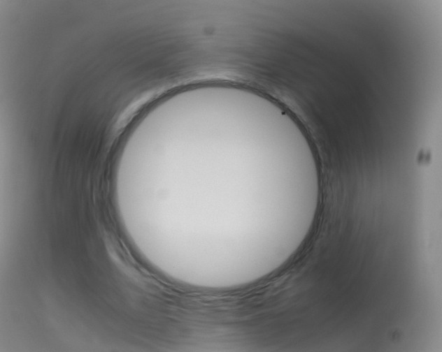 X0000114680583200910211033