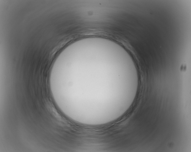 X0000114680585200910211033