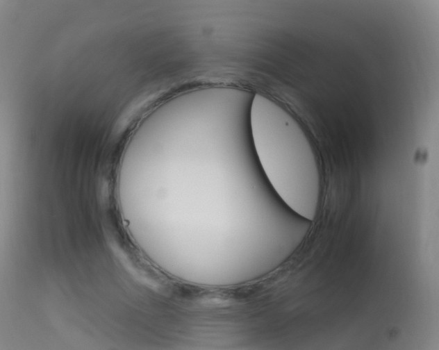 X0000114680586200910211033