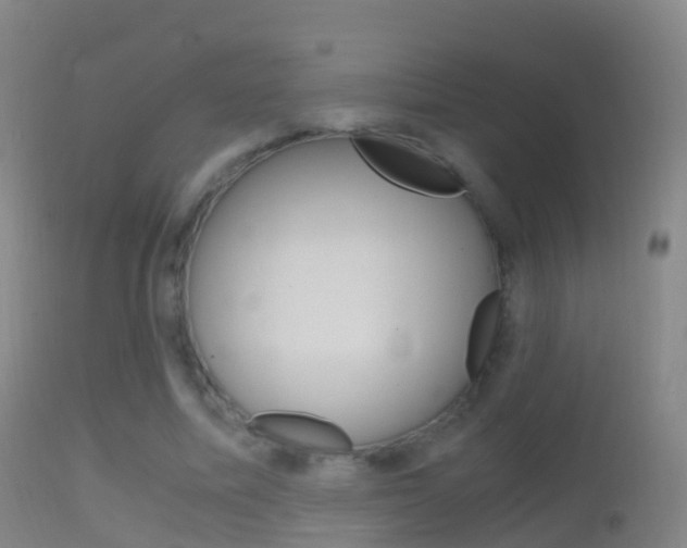 X0000114680587200910211033