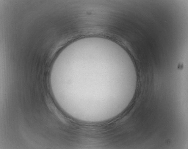 X0000114680589200910211033