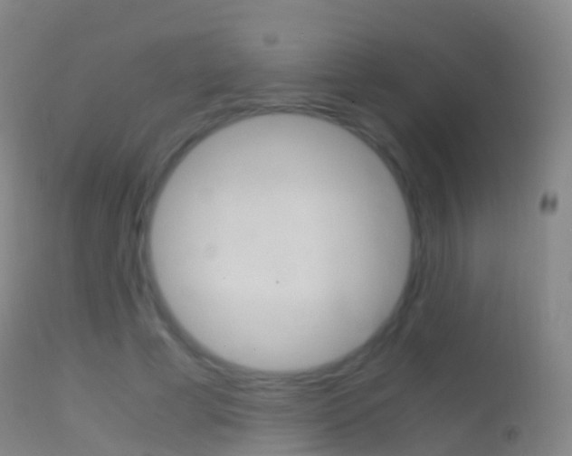 X0000114680593200910211033