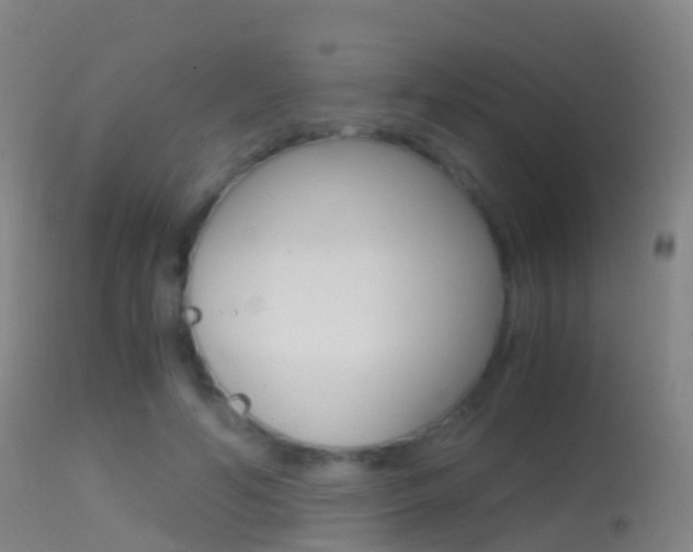 X0000114680594200910211033