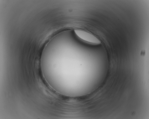 X0000114680596200910211033