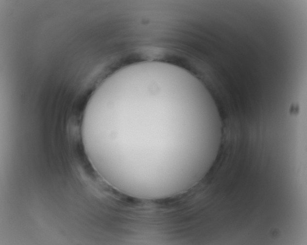 X0000114680598200910211033