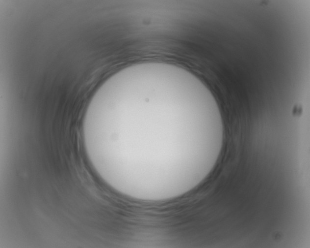 X0000114680599200910211033