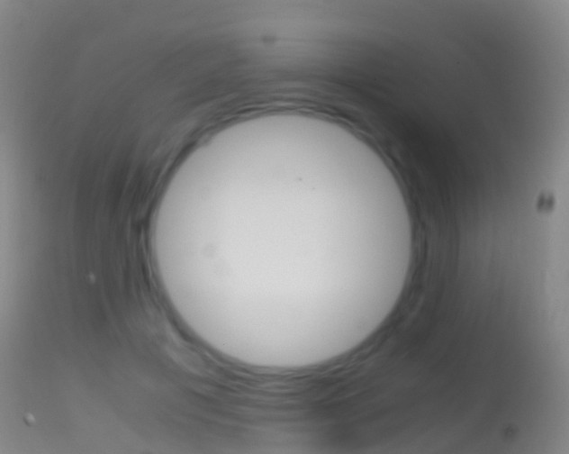 X0000114680601200910211033