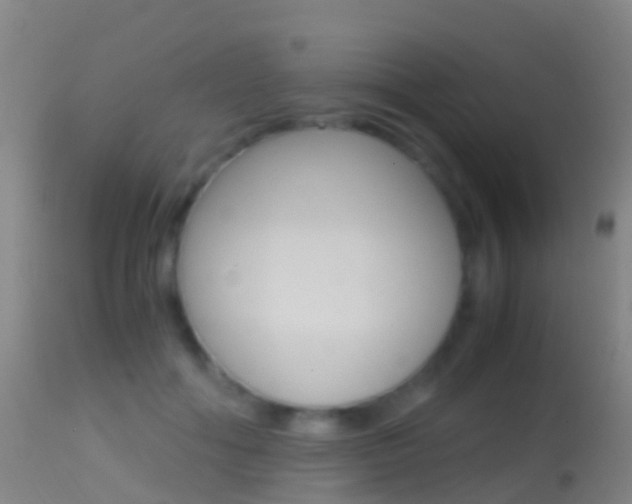 X0000114680602200910211033