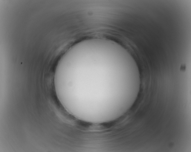 X0000114680603200910211033