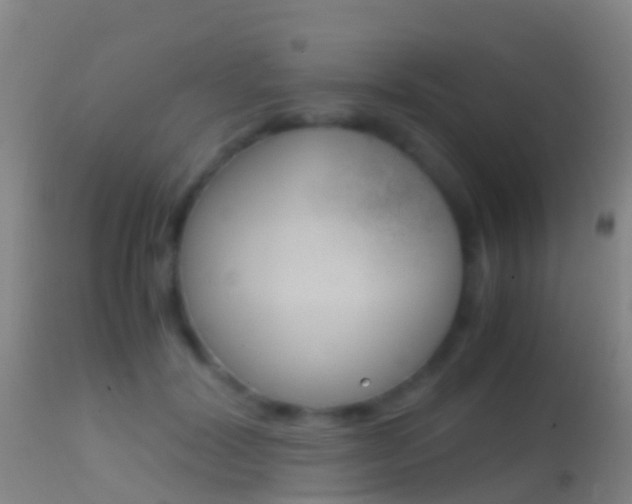 X0000114680604200910211033