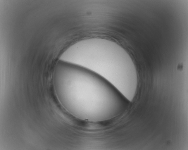 X0000114680605200910211033