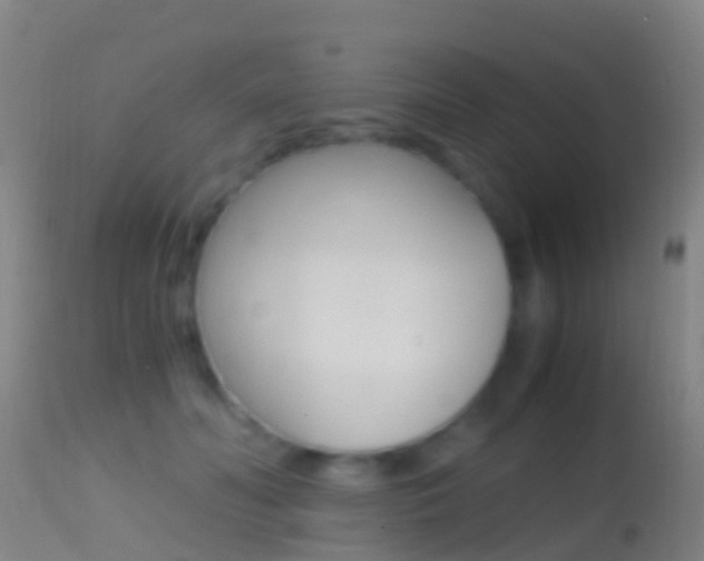 X0000114680606200910211033