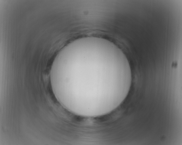 X0000114680607200910211033