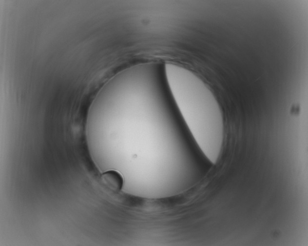 X0000114680608200910211033