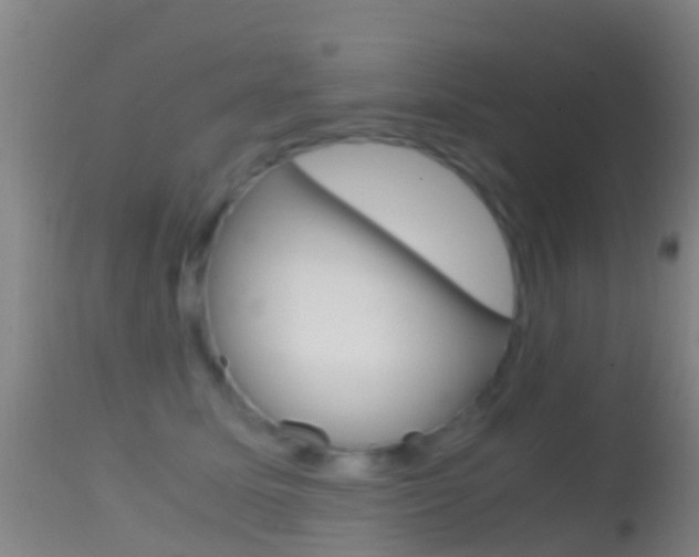 X0000114680611200910211033