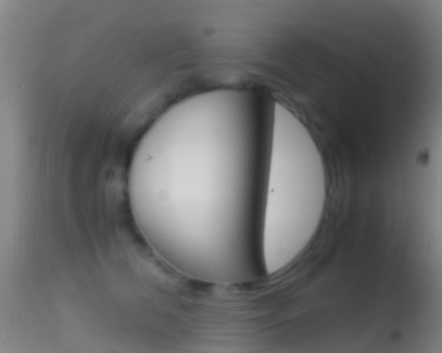 X0000114680612200910211033