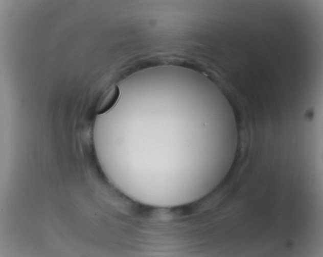 X0000114680613200910211033