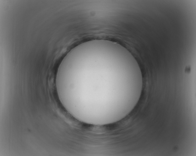X0000114680615200910211033
