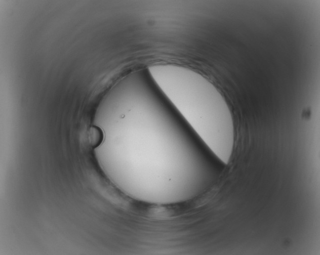 X0000114680616200910211033