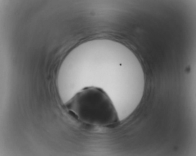 X0000114680617200910211033